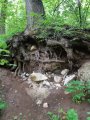 20200606_091130.jpg 20200606_091130.jpg