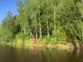 3090FD1B-ADD7-492B-A060-AF51594C89F8.jpeg