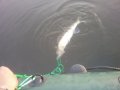 20200611_045539.jpg