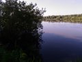 P_20200611_080939.jpg