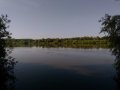 P_20200611_081017.jpg