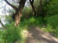 P_20200611_081024.jpg