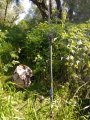 P_20200611_095102.jpg