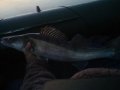 20200612_030717.jpg