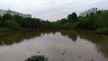 IMG_20200606_175326.jpg