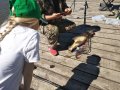 IMG_20200624_134536.jpg