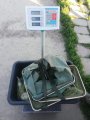 IMG-20200624-WA0100.jpg