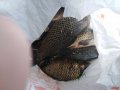 IMG_20200624_135405.jpg