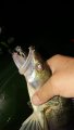 DSC_3191.JPG