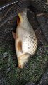 IMG_20200709_115743_1200x2133.jpg