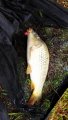 IMG_20200709_120533_1200x2133.jpg