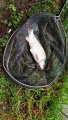 IMG_20200709_104842_1200x2133.jpg