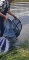IMG-20200709-WA0011.jpg
