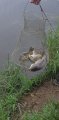 IMG-20200709-WA0005.jpg
