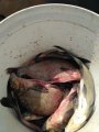 IMG_20200709_113049.jpg