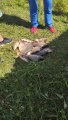 IMG_20200711_114014.jpg