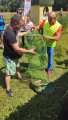 IMG_20200711_113940.jpg