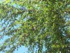 100_1854.jpg