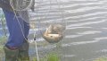 IMG-20200717-WA0015.jpg