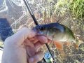 IMG_20200718_151423.jpg