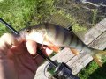 IMG_20200718_134259.jpg