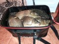 20200719_074422.jpg