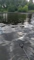 IMG-20200723-WA0008.jpeg
