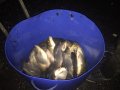 IMG-20200723-WA0057.jpg