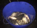 IMG-20200723-WA0050.jpg