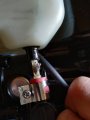 IMG_20200725_162805.jpg