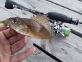 IMG_20200721_194033.jpg