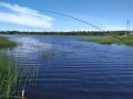 IMG_20200718_141919.jpg