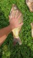 20200726_131125.jpg