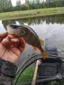 IMG_20200630_070636.jpg