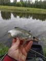IMG_20200630_073851.jpg