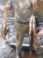 IMG_20200723_125541.jpg