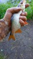 IMG_20200808_093202.jpg