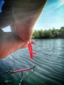 IMG_20200806_163128-01.jpeg