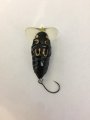 Tiemco Trick Trout Cicada Noisy 35F 3,5g - 5.JPG