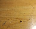 IMG_20200816_145332_1.jpg