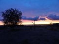 IMG_20200801_203124.jpg