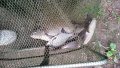 IMG_20200816_145803.jpg