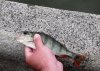 IMG00173.jpg