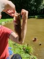 IMG-20200818-WA0004.jpg