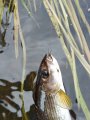 IMG_20200822_180659.jpg