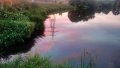 IMG_20200824_195020.jpg