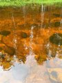 IMG-20200823-WA0047.jpg