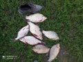 IMG_20200822_193456.jpg