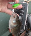 IMG_20200829_124542.jpg