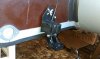 IMAG0105.jpg